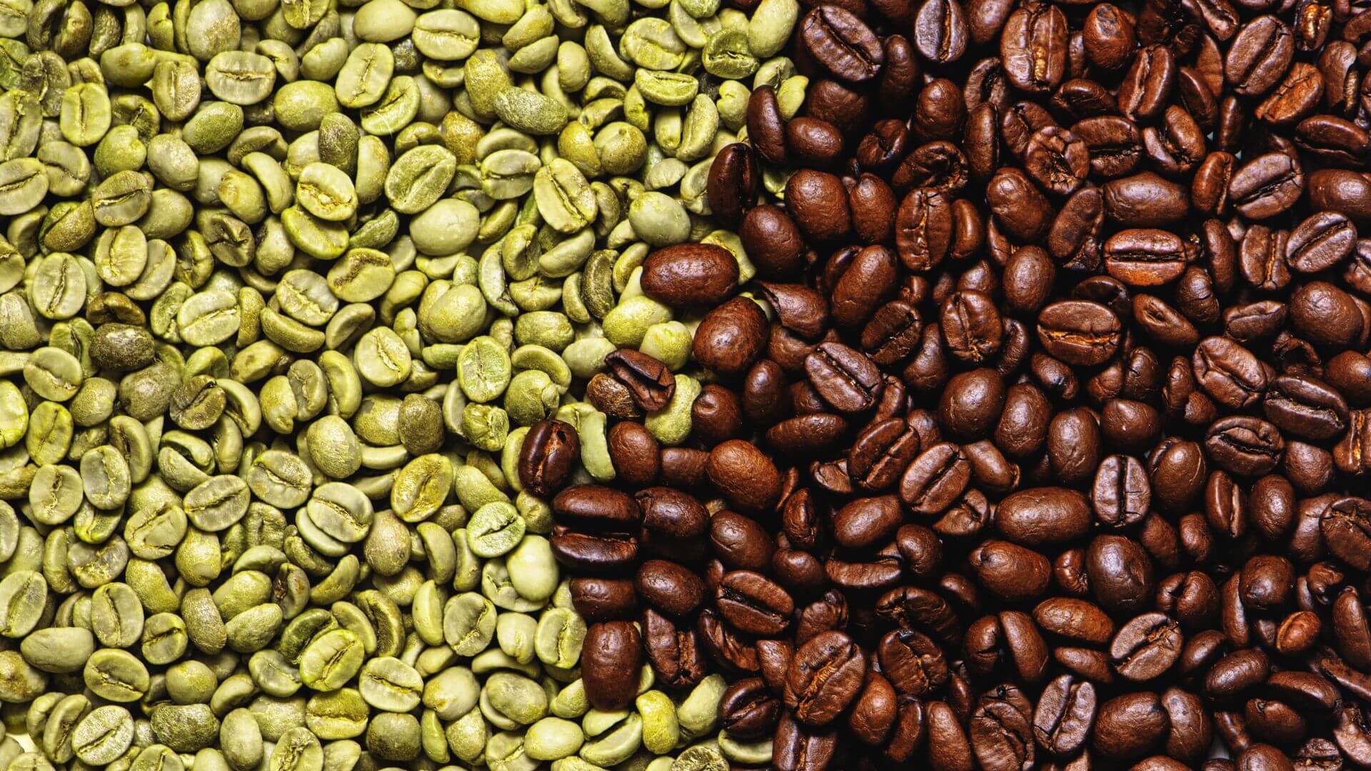What is green or raw coffee?