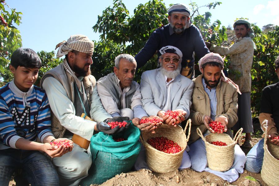 Yemeni coffee